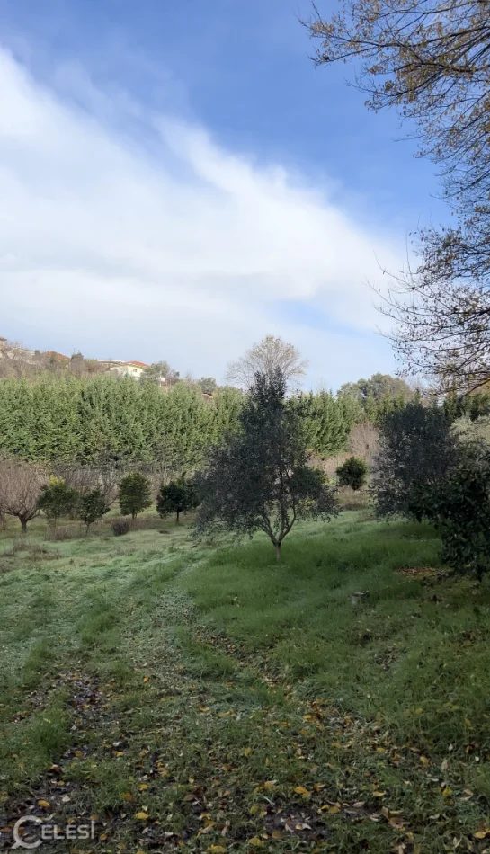Tirane, shes toke , 2.000 m² 260.000 € (prush)