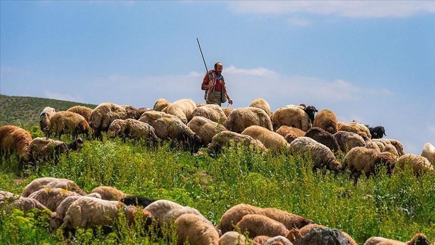 Kerkoj coban per dele