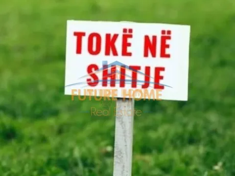 Tirane, shitet toke , (Farke)