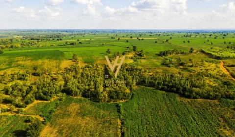Tirane, shitet toke , 3.000 m² 415.000 € (QEHA)