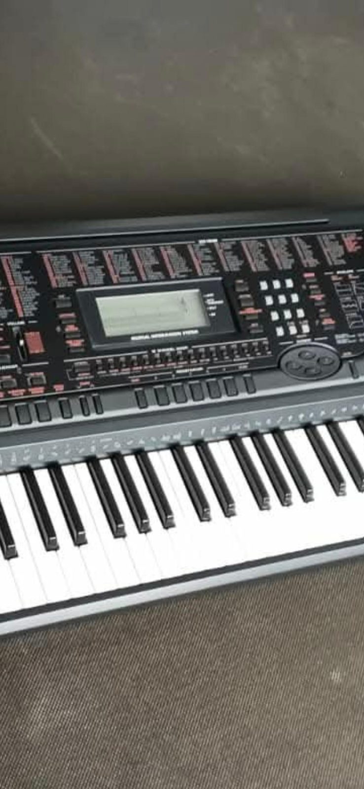Organo Casio CTK 711