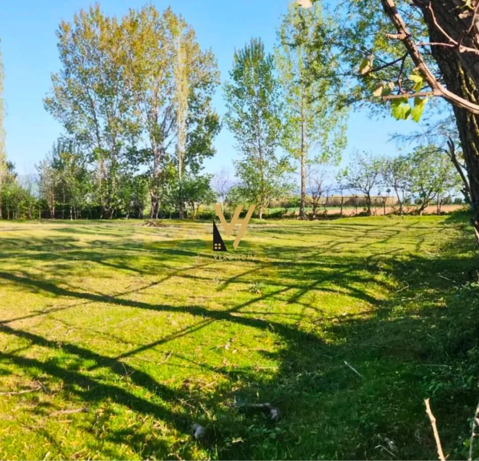 Lezhe, shitet toke , 80.627 m² (TALE)