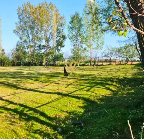 Lezhe, shitet toke , 80.627 m² (TALE)