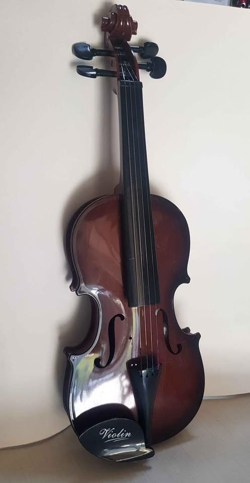 Violin. Ndoshta jo profesionale. 25 lek