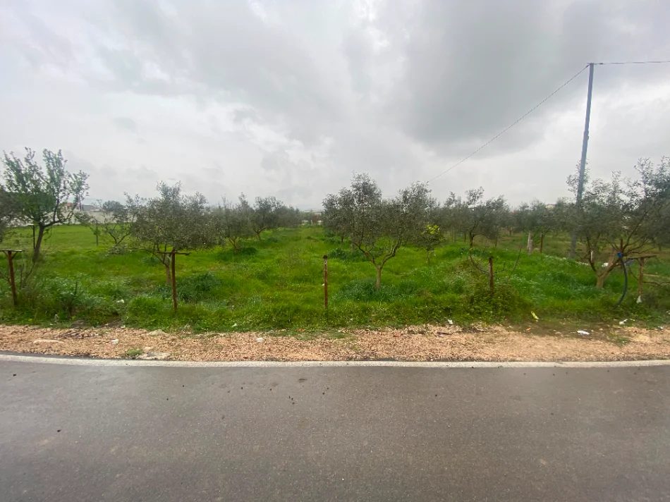 Tirane, shitet toke , 880 m² 95.000 € (Kamez)