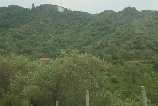 Tirane, Marikaj Shiten 2 Ullishte me siperfaqe totale 16.200 m², Cmimi Fillestar 40.000.000 Leke