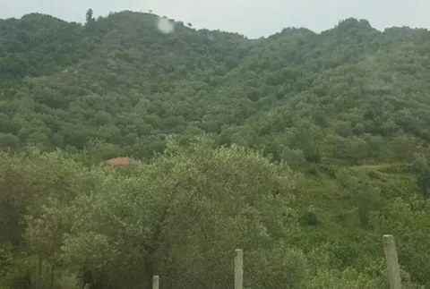 Tirane, Marikaj Shiten 2 Ullishte me siperfaqe totale 16.200 m², Cmimi Fillestar 40.000.000 Leke