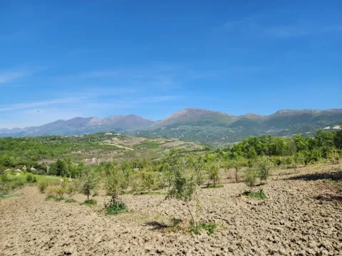 SHITET SUPER TOKE: 3221m2 📍 Në Qeha 5 Min Nga Mulleti ( 95€/m² Ultra Okazion) (( 297,000€ ))💣