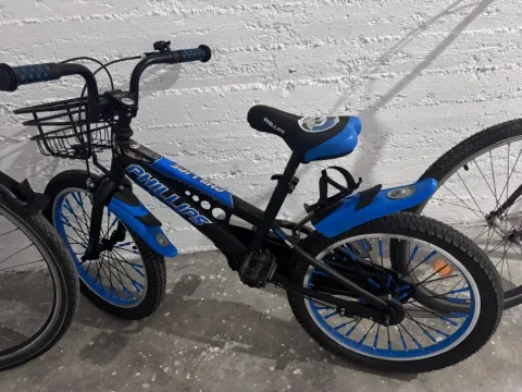 Shes biciklete Philips blu 85 € (cmimi i diskutueshem)