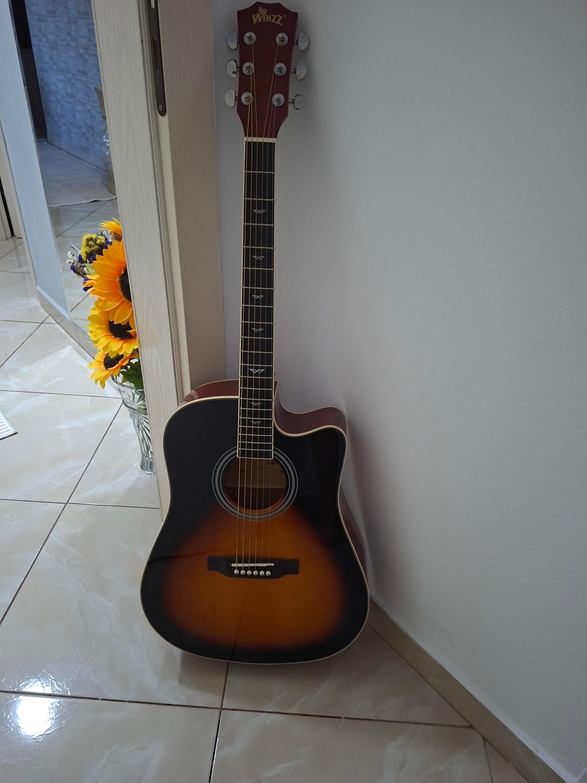 Kitare elektroakustike Profesionale New🇩🇪