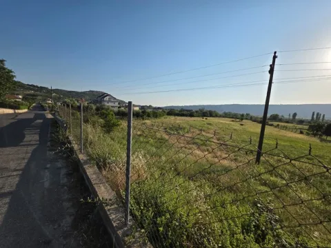 SHITET TOKË NË GRYKË ZEZË, LEZHË