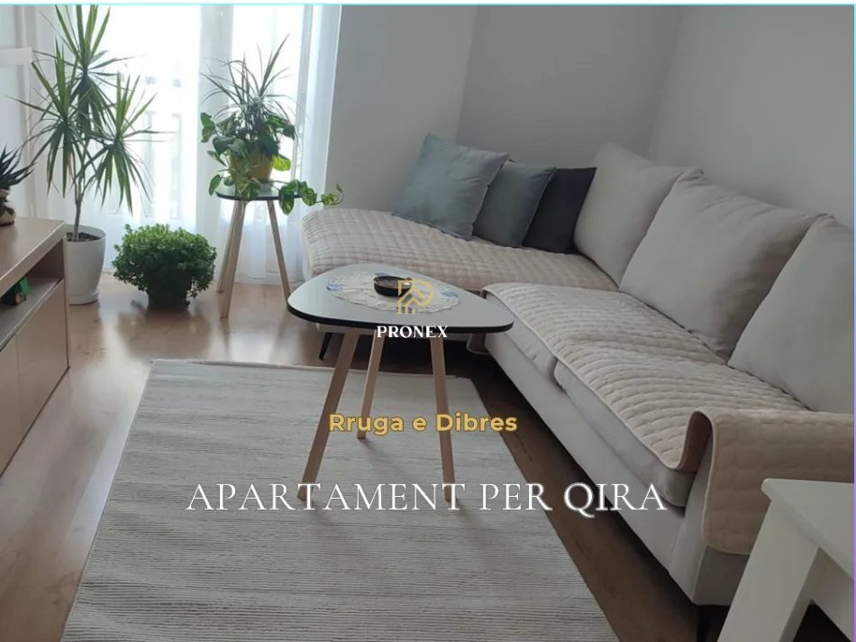 Tirane, jepet me qera apartament 2+1+Ballkon Kati 1, 106 m² 650 € (Rruga e Dibres)