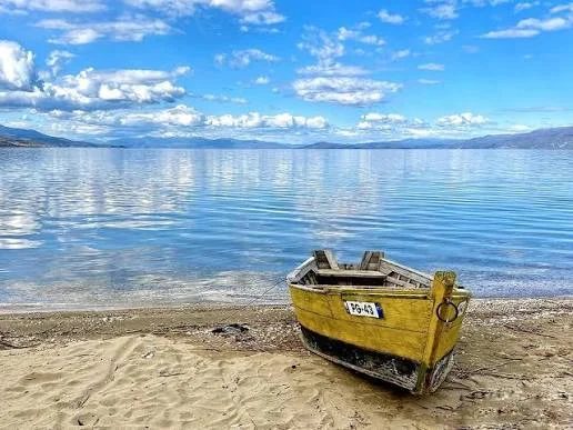 SHITET TOKE NE POGRADEC BUZE LIQENIT 3.000 m²