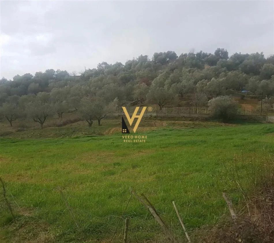 Tirane, shitet toke , 6.500 m² 160.000 € (VORE)
