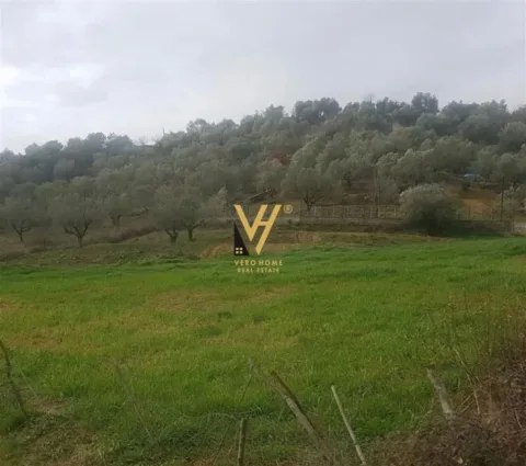 Tirane, shitet toke , 6.500 m² 160.000 € (VORE)