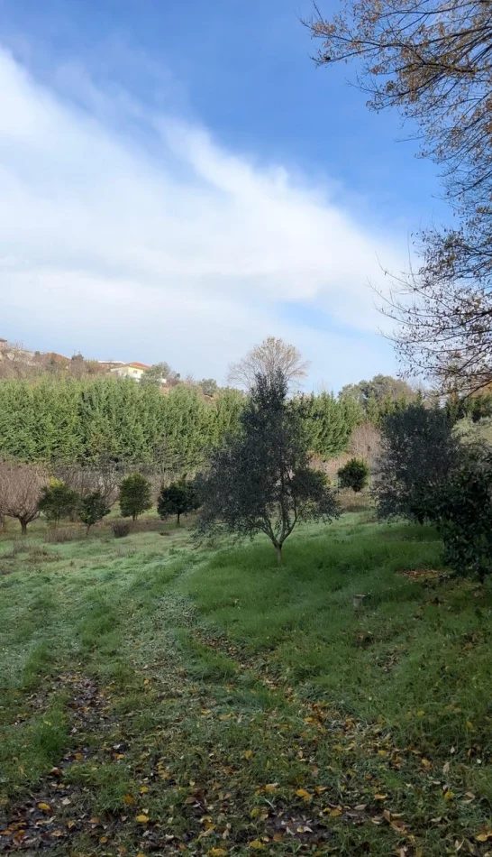 Tirane, shitet truall , 2.000 m² 260.000 € (Kashar)