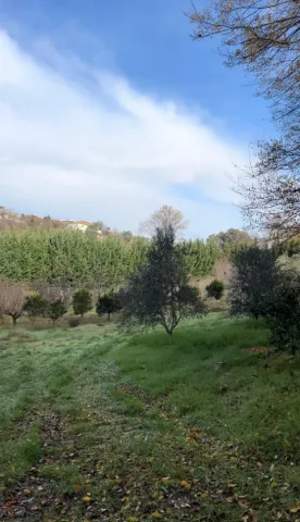 Tirane, shitet truall , 2.000 m² 260.000 € (Kashar)