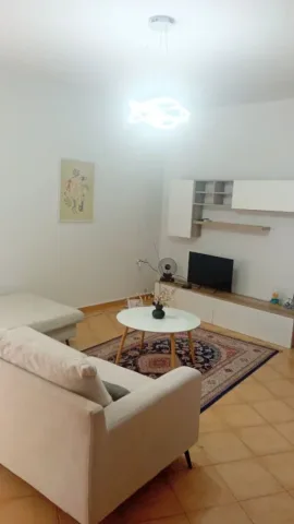 Tirane, jepet me qera apartament 1+1 Kati 1, 70 m² 750 € (RRUGA E ELBASANIT)