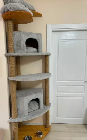 CAT TREE , SHTEPI PER MACET