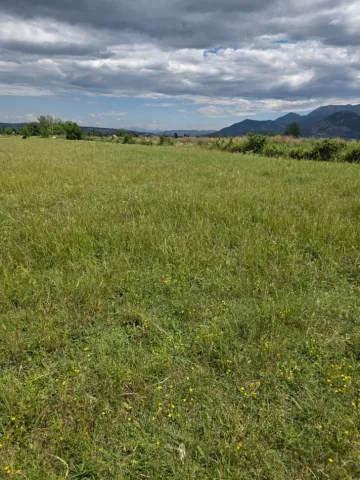LEZHË SHITET TOKË