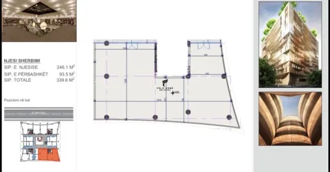 Tirane, jepet me qera dyqan Kati 1, 340 m² 5.000 € (MINE PEZA)