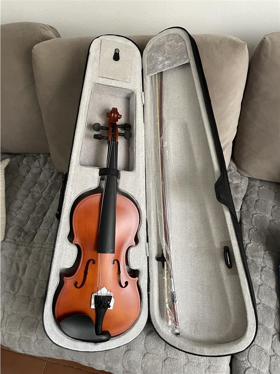 Violine 4/4