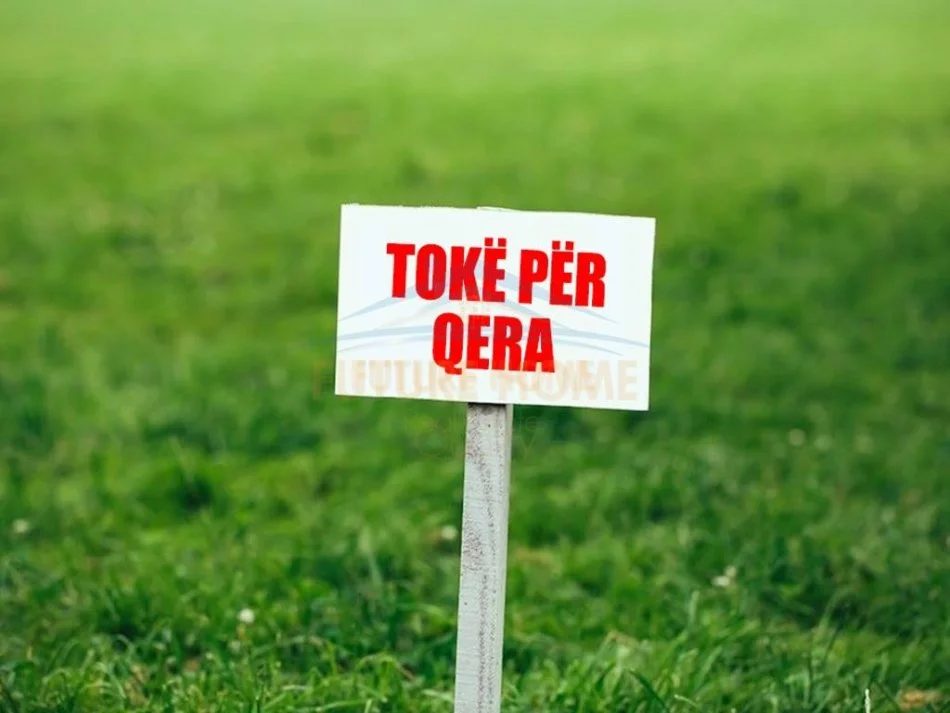 Tirane, jepet me qera toke , 25.000 m² 12.500 EURO (Rinas)