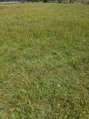 Lezhë shitet toke Hoteli Gjuetisë