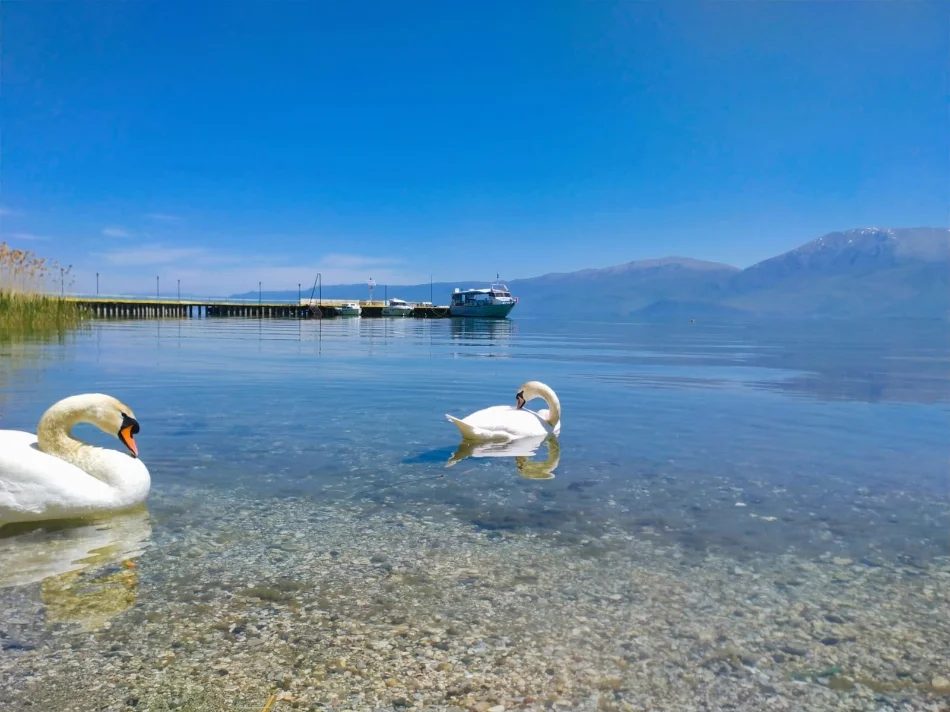 SHITET TOKE NE POGRADEC BUZE LIQENIT 1.130 m²