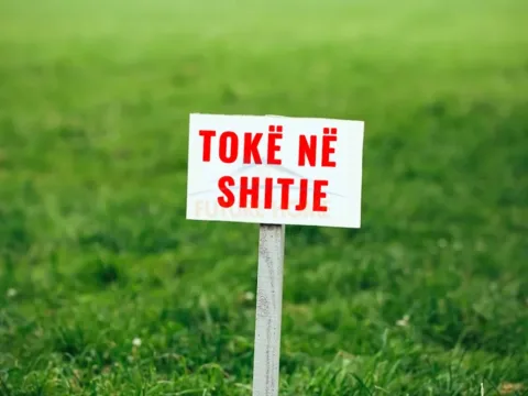 Tirane, shitet toke , 80.000 m² 640.000 € (Vore)