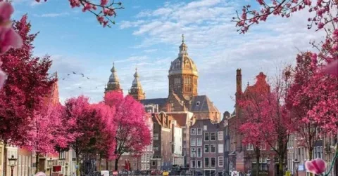 Tirane, oferte City-tour | Vizita qytetesh Udhëtim në Amsterdam dhe Bruksel 4