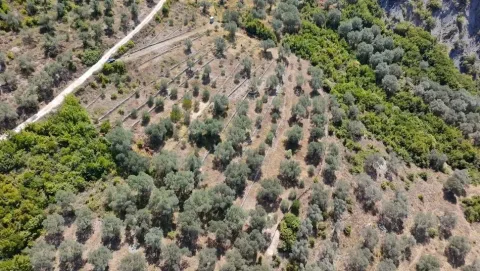 Tirane, shitet truall , 4.000 m² 300.000 € (Petrele)