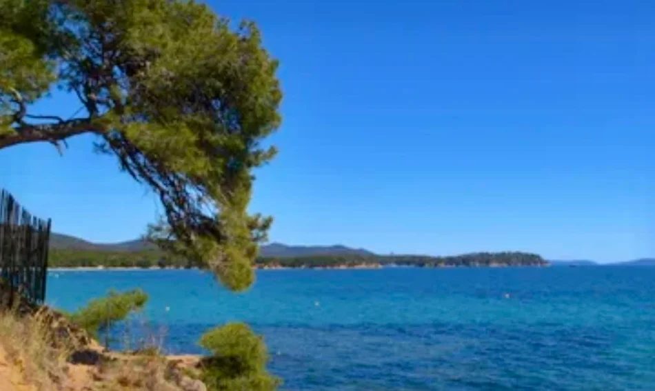 Borsh, shitet toke , 1.000 m² 145.000 € (ne Borsh Sarande.)