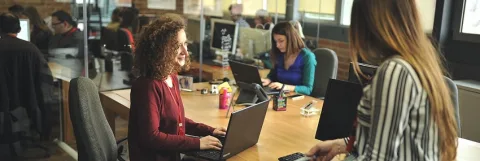 Customer Service Agents - Bilingual: Spanish - English 500 lek/hour
