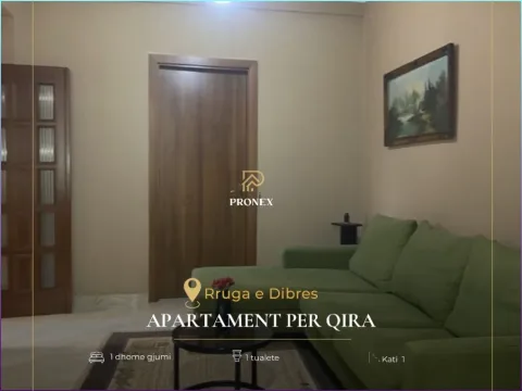 Tirane, jepet me qera apartament 1+1 Kati 1, 60 m² 500 € (Rruga e Dibres)