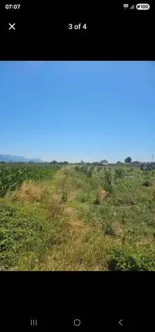 Lezhe, shitet toke , 2075m² 27000 € (Adresa Rrile Lezhe)