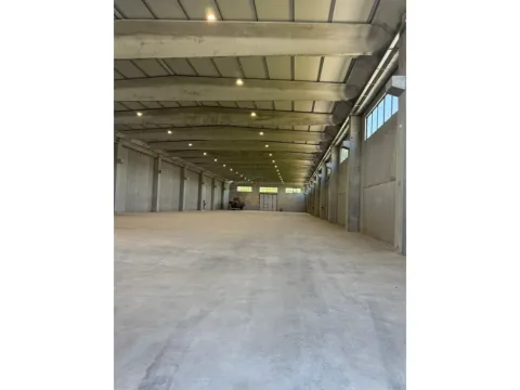 Tirane, shitet ambjent biznesi , 4.452 m² (Rinas)