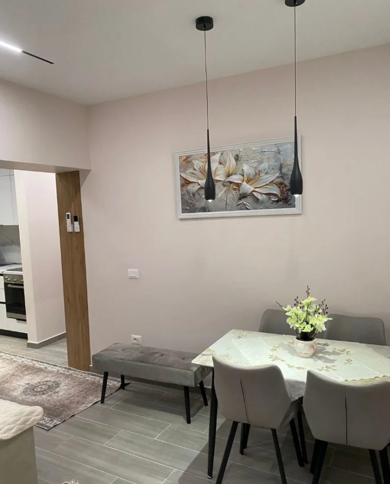 Tirane, jepet me qera apartament 1+1 Kati 1, 60 m² 650 € (Liceu Artistik)