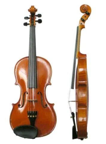 ! Tirane, ofrojme Kurs VIOLINE