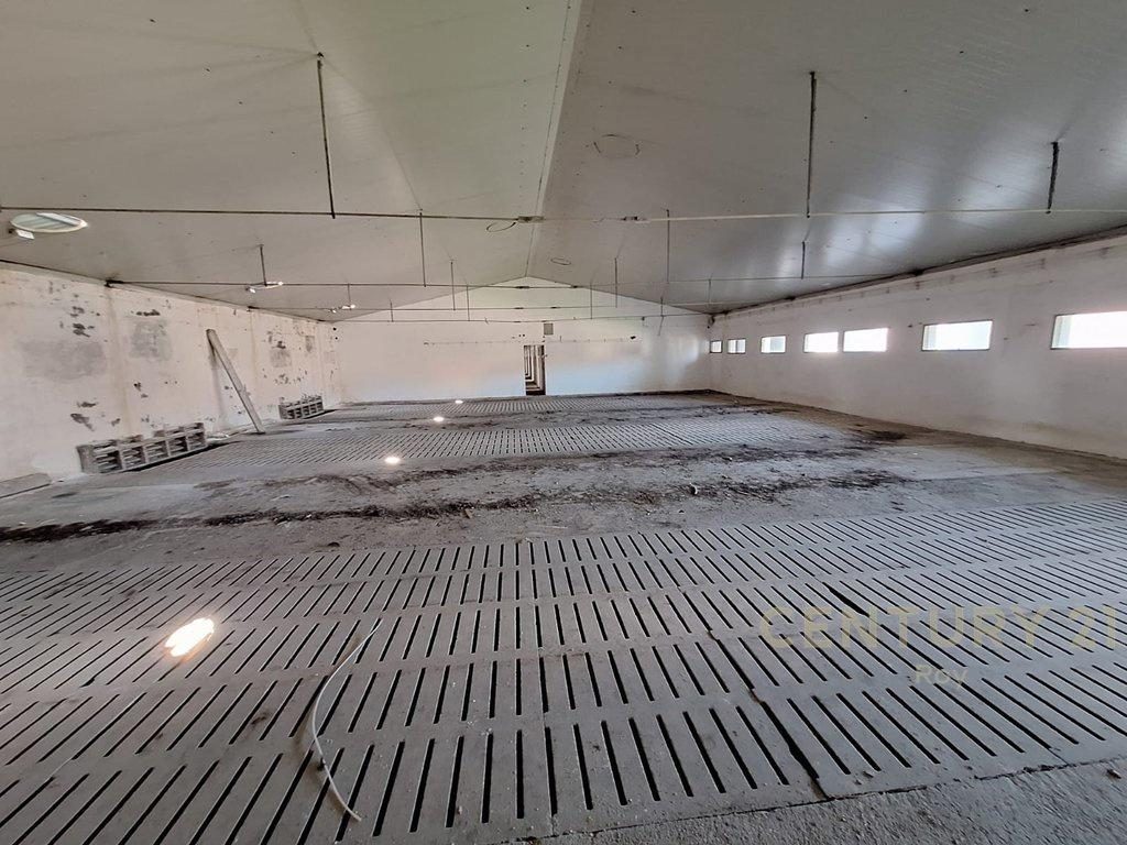 Kapanon ne Shitje Xhafzotaj Durres- 1384m² Ndertese | 3722 m