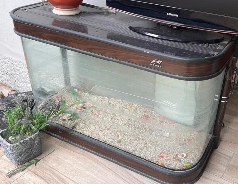 Akuarium OKAZION