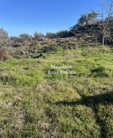 Tirane, shitet toke , 4.000 m² 140.000 € (Ndroq)