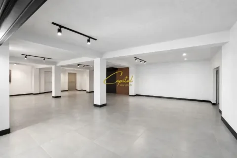 Tirane, jepet me qera ambjent biznesi Kati -1, 160 m² 1.500 € (SAUK I RI)