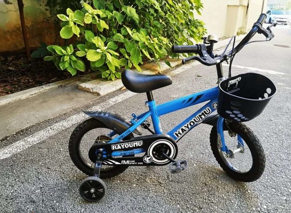 Tirane, shes biciklete per djem blu 60 €