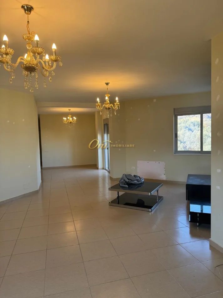 Tirane, shitet apartament 3+1 Kati 2, 211 m² 350.000 € (LIQENI I THATE)
