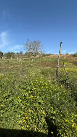 Tirane, shitet toke , 2.714 m² 400.000 € (Lunder)