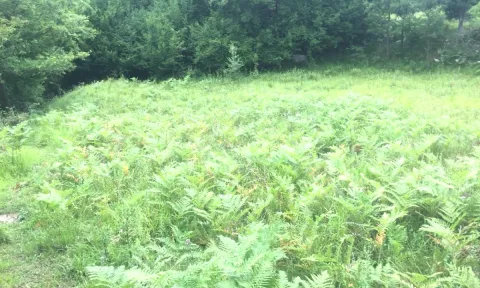 Shitet toke + Shtepi e Vjeter ne Linze,Dajt/90,000 euro