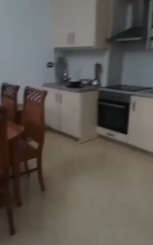 Tirane, jepet me qera apartament 2+1 Kati 2, 115 m² 400 € (Fresku)