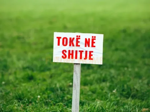 Tirane, shitet toke , (Kashar)