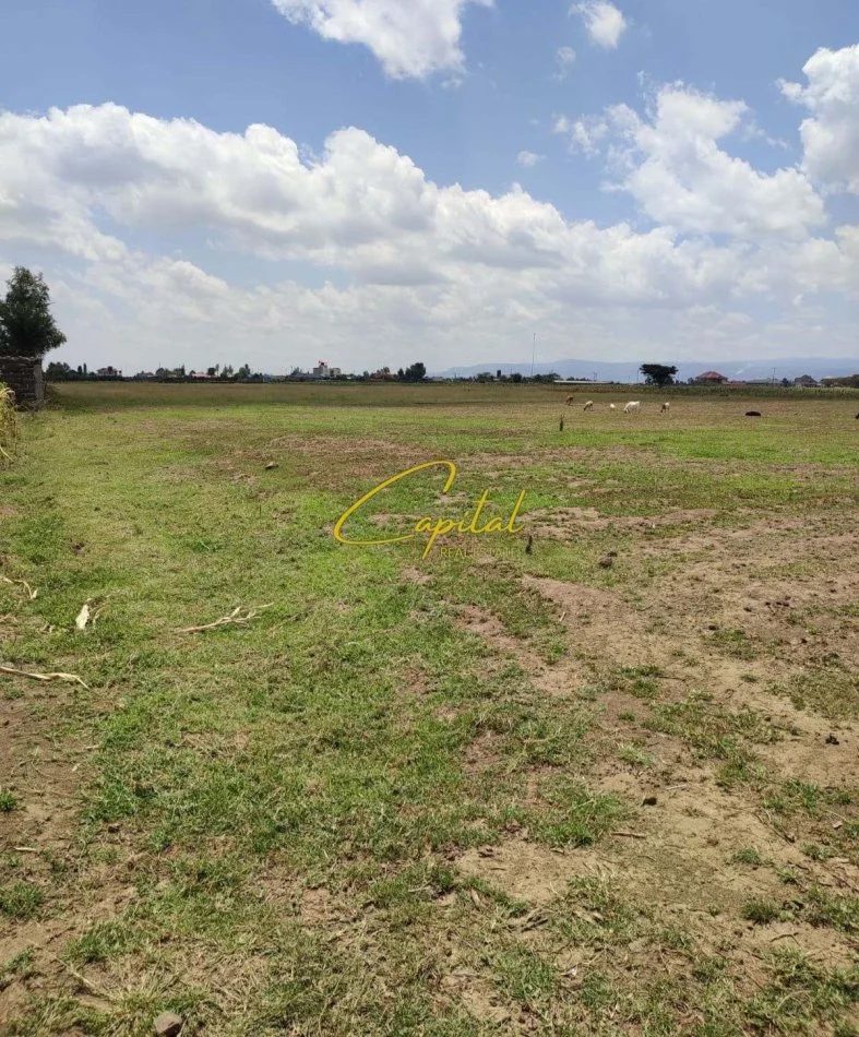 Tirane, jepet me qera toke , 4.000 m² (MEZEZ)